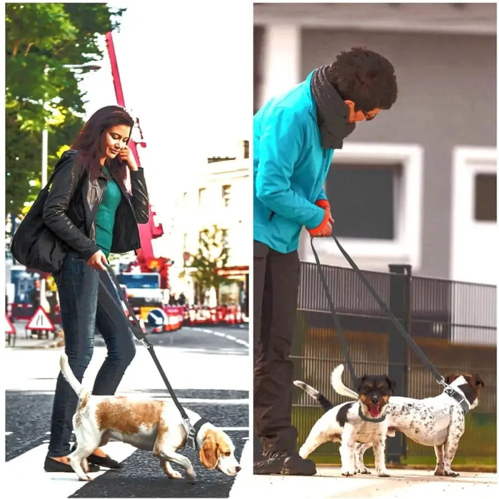 2 Hooks Durable Adjustable Waterproof Traffic Control Safety Pet Leash for Small, Medium, and Large Dogs