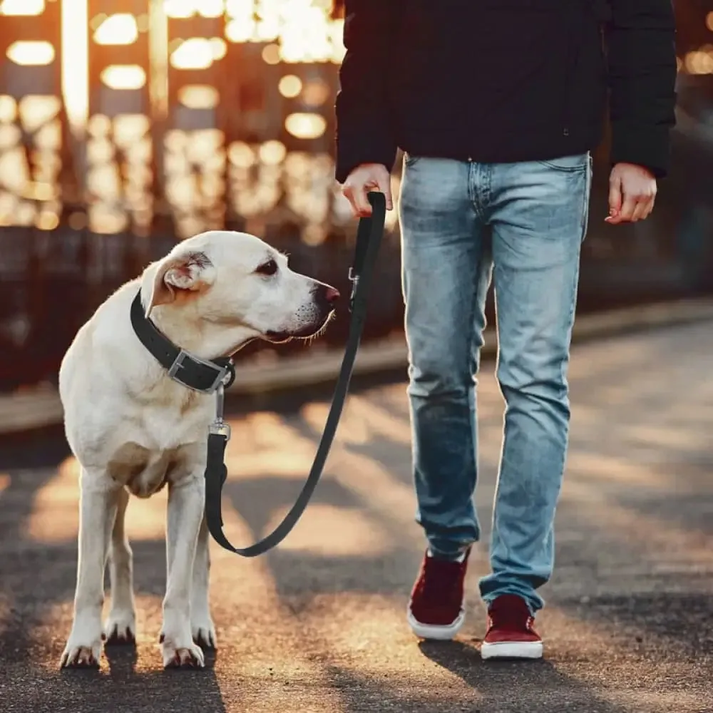 2 Hooks Durable Adjustable Waterproof Traffic Control Safety Pet Leash for Small, Medium, and Large Dogs