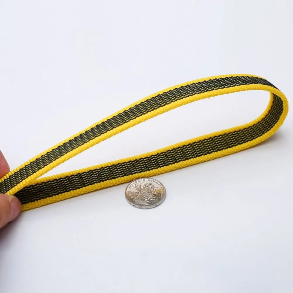 2m 3m 5m Non-slip Rubber Nylon Dog Leash