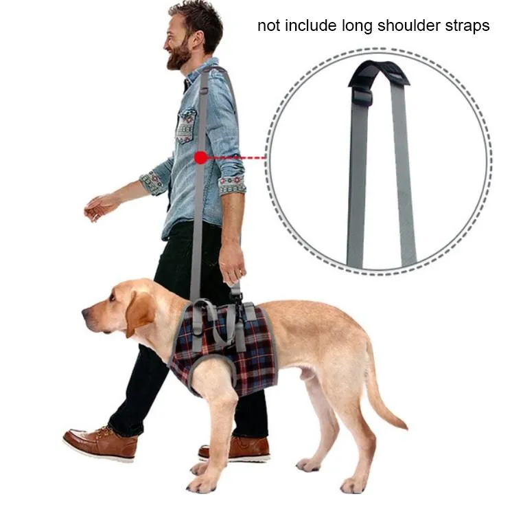 Assistive Dog Leg Straps Size L Hind Leg Blue