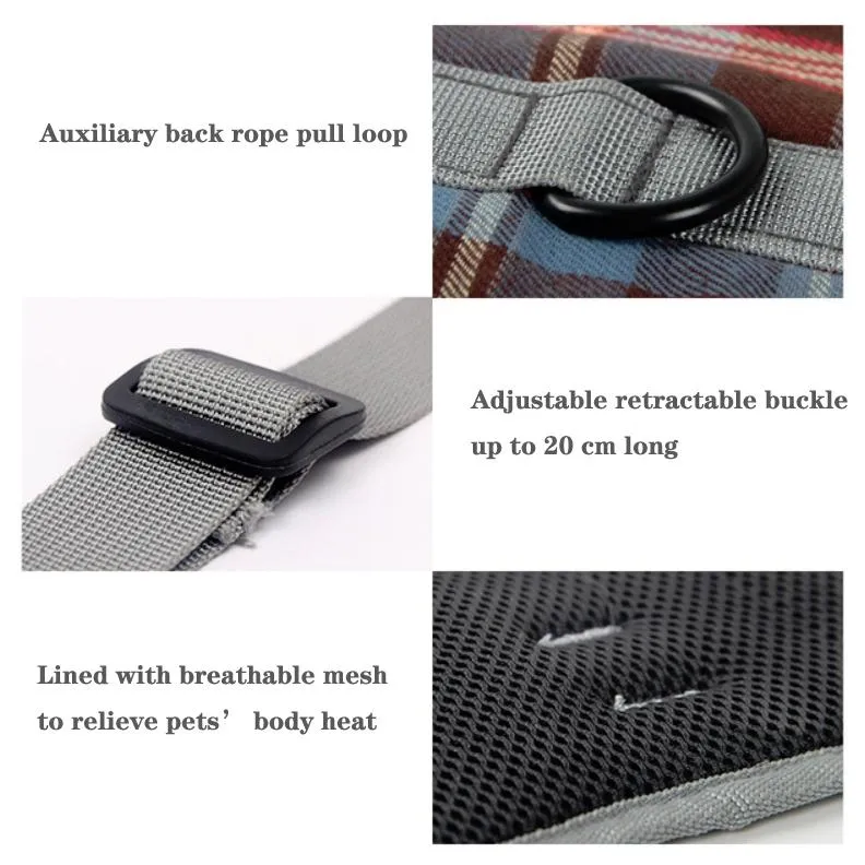 Assistive Dog Leg Straps Size L Hind Leg Blue