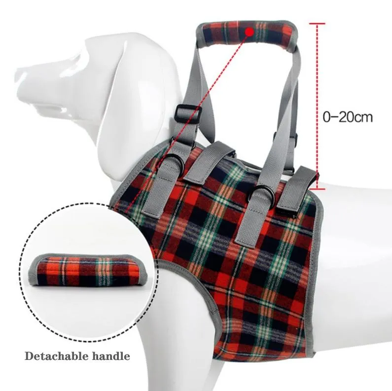 Assistive Dog Leg Straps Size L Hind Leg Blue