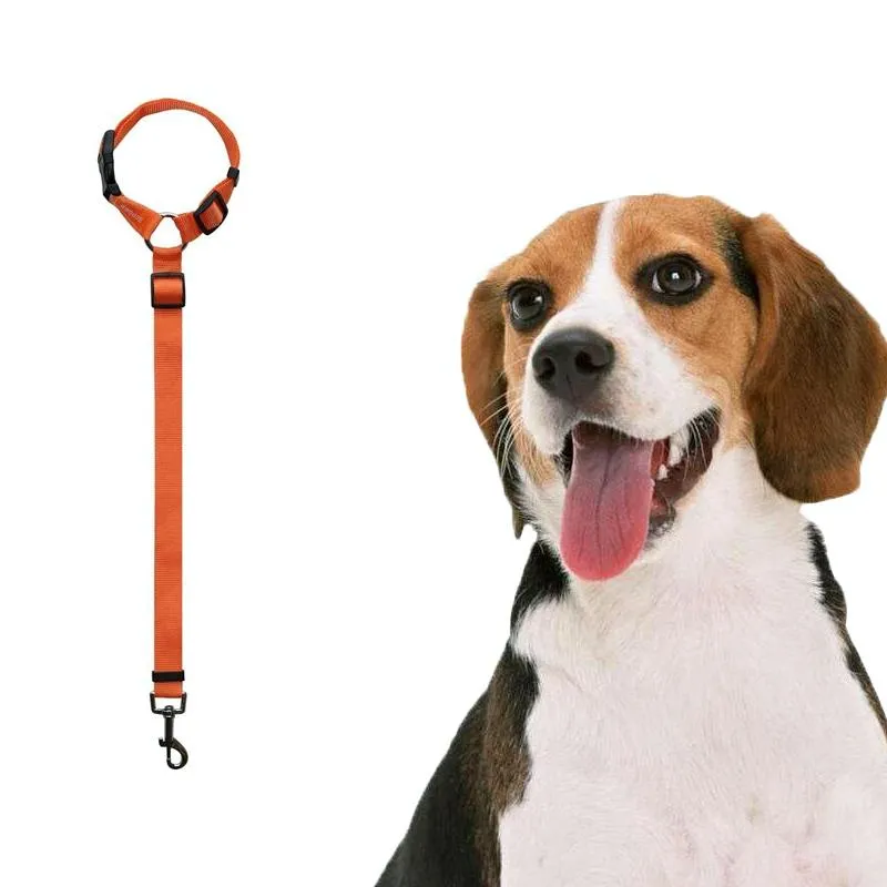 Dog Car Seat Belt For Safe Travel