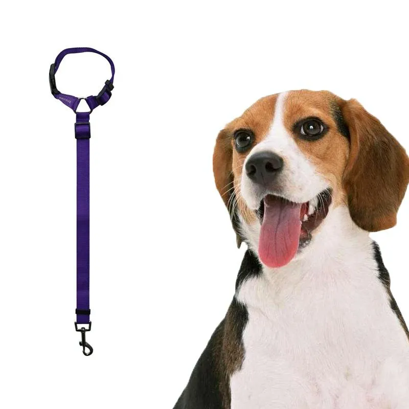 Dog Car Seat Belt For Safe Travel