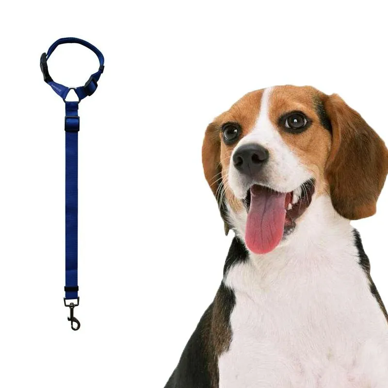 Dog Car Seat Belt For Safe Travel