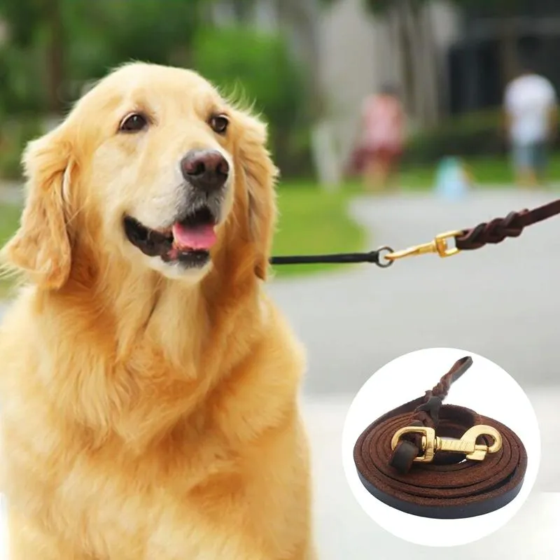 Dog Training Harness With Cowhide Leash
